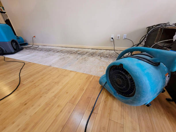 Professional Basement Flood Cleanup technician working in Royersford, PA